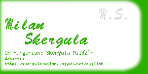 milan skergula business card